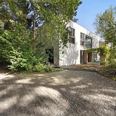 בית נופש Do Bosque Guilhabreu