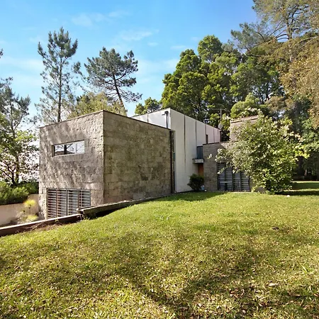 Do Bosque Tatil Evi Guilhabreu